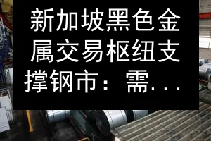 新加坡黑色金属交易枢纽支撑钢市：需求放缓与绿色转型